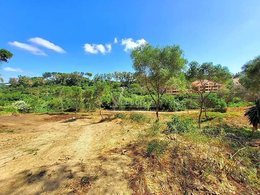 Giardino - Chalet with Garden Views in Sotogrande