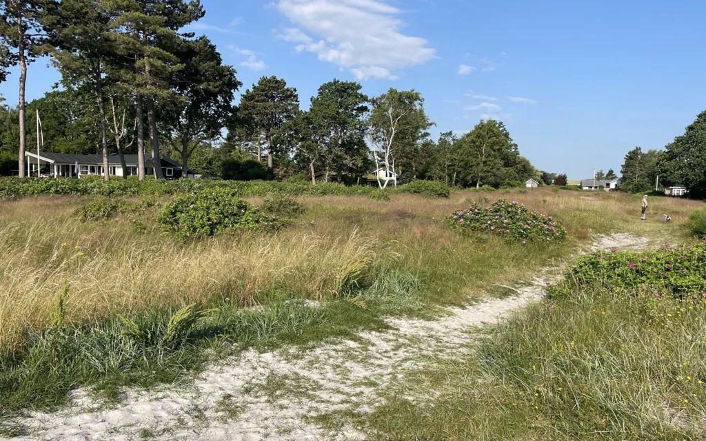 Terrain à Odder