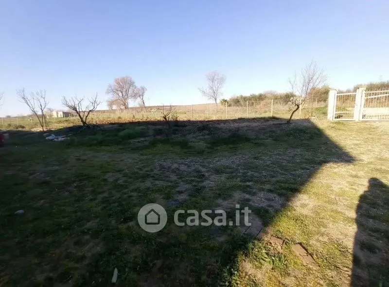 Giardino - Rustico Casale with Garden in Bernalda