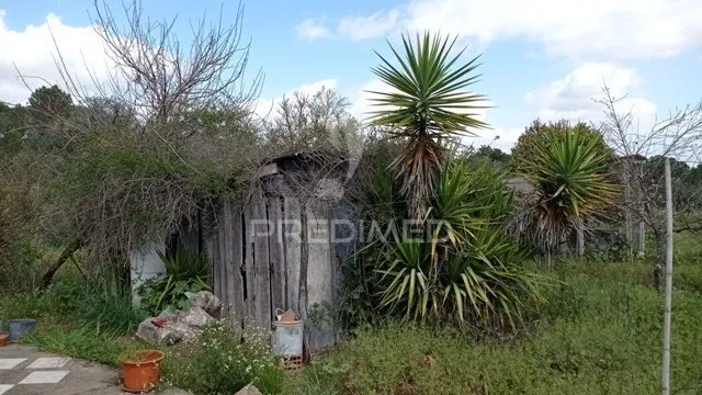 Aed - Traditional House with Fruit Trees in Couço, Coruche