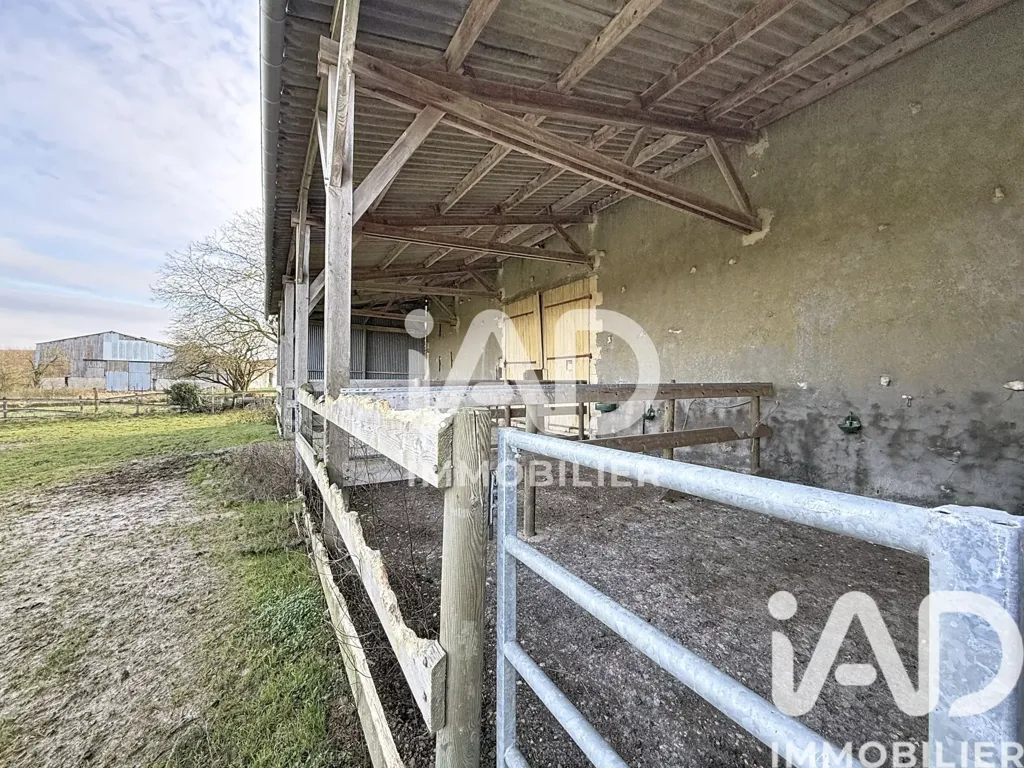 Terrazza - Equestrian Domain with House in Nubécourt