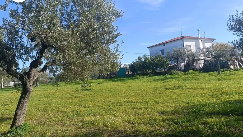 Aed - Villa with Panoramic View in Vasto