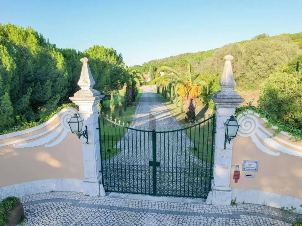 Extérieur - Farm with Pool and Vineyard in Azeitao