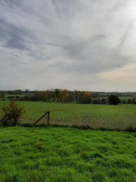 Aed - Four-Faced House with Large Garden in 900m² Plot