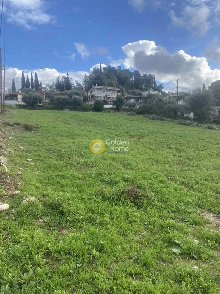Aed - Buildable Plot with Panoramic Views in Théa