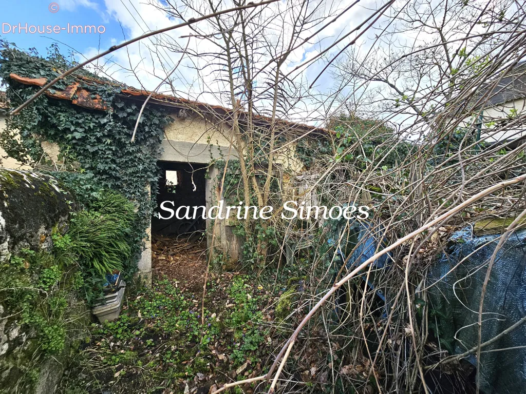 Jardin - Maison avec Terrain et Dépendances à Montmorillon