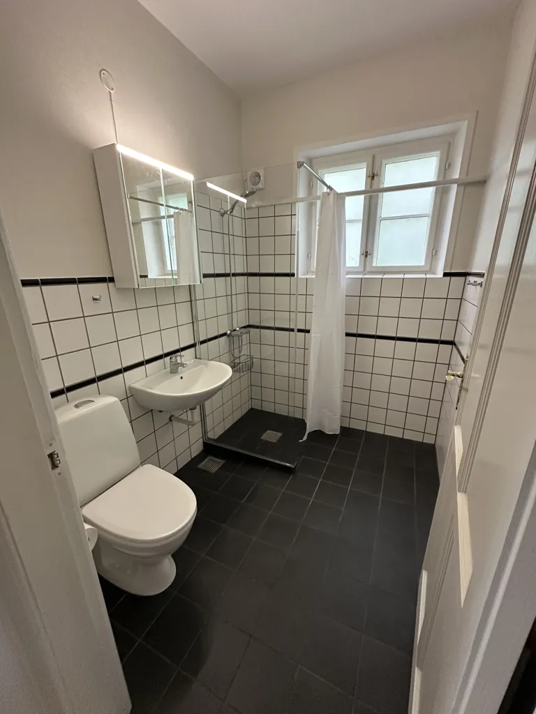 Salles de bain - Renovated Apartment with Terrace in Assens