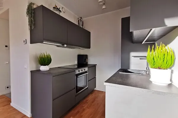 Cuisine - Appartement 2 pièces à Tartu