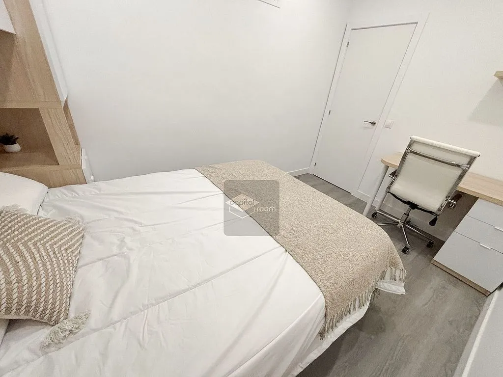 Fully Furnished Flat in Recoletos, Madrid