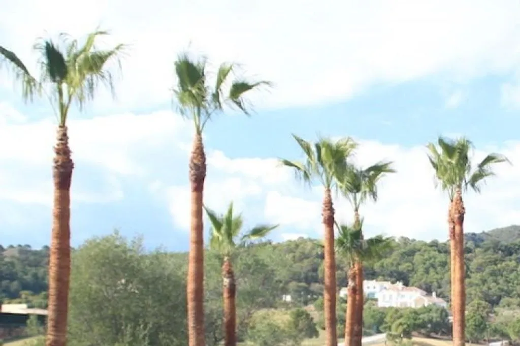 Development Plot with Sea Views in Benahavís