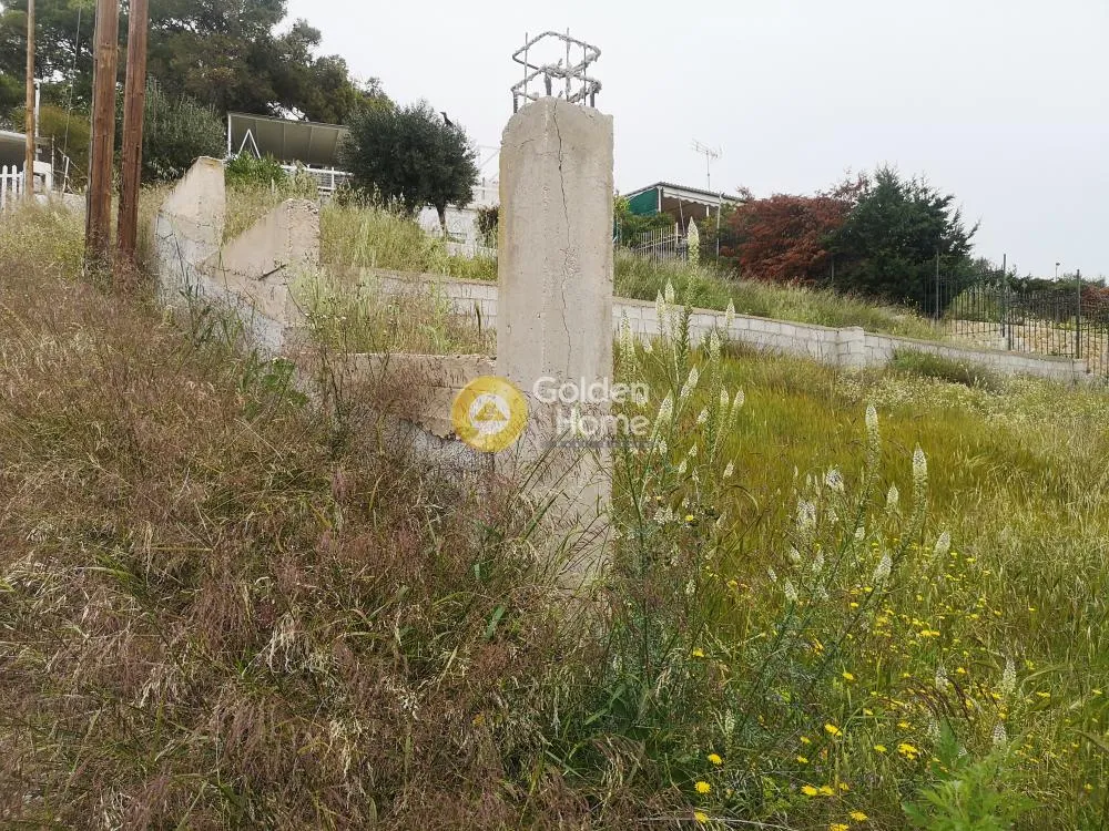 Garden - Plot for Villa with Sea View in Lagonia