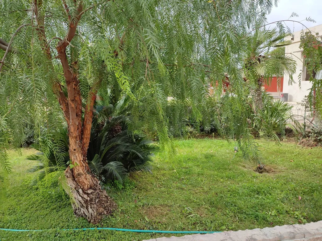 Jardin - Independent Villa with Pool in Cassano delle Murge