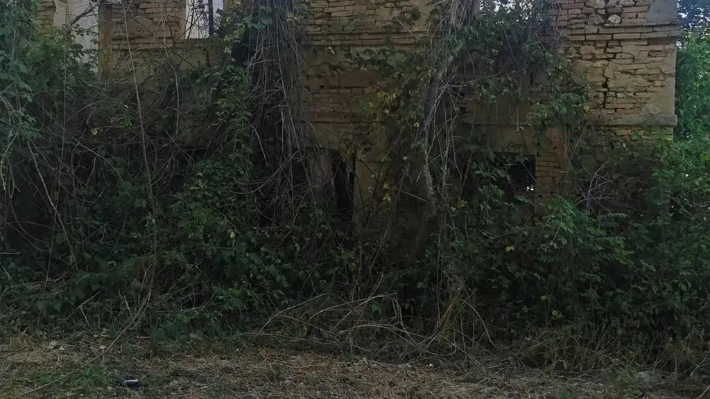 Extérieur - Rustic Farmhouse with Sea View in Civitanova Alta