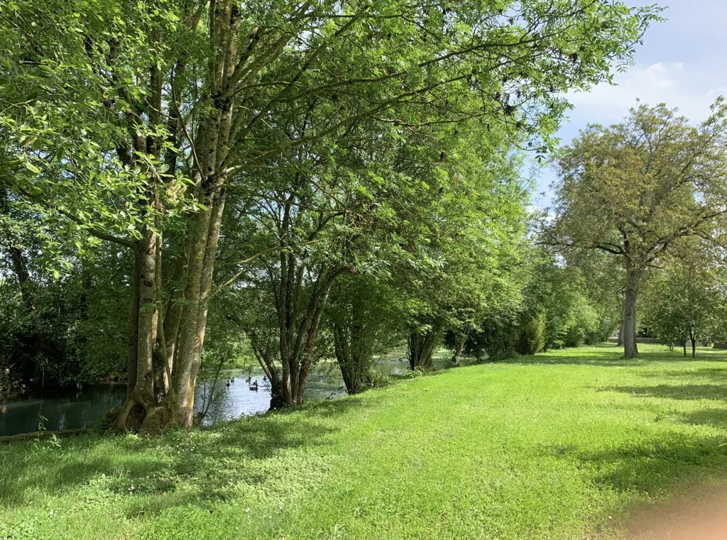 Jardin - Moulin Rénové avec Piscine et Parc près de Niort