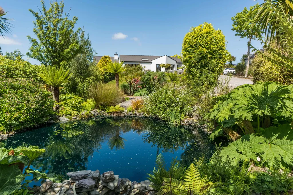 Jardin - Maison 4 chambres à Schull