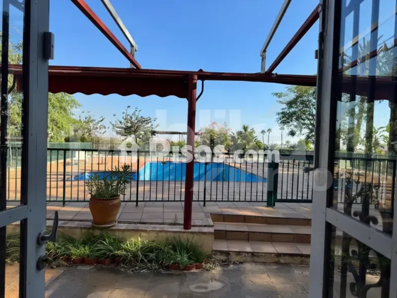 Piscine - Historic Villa with Archaeological Setting in Elche