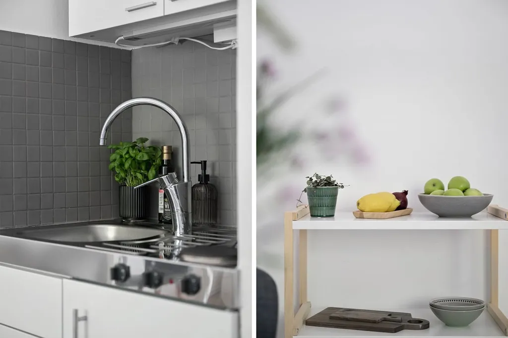 Efficient Flat with Garden in Malmö