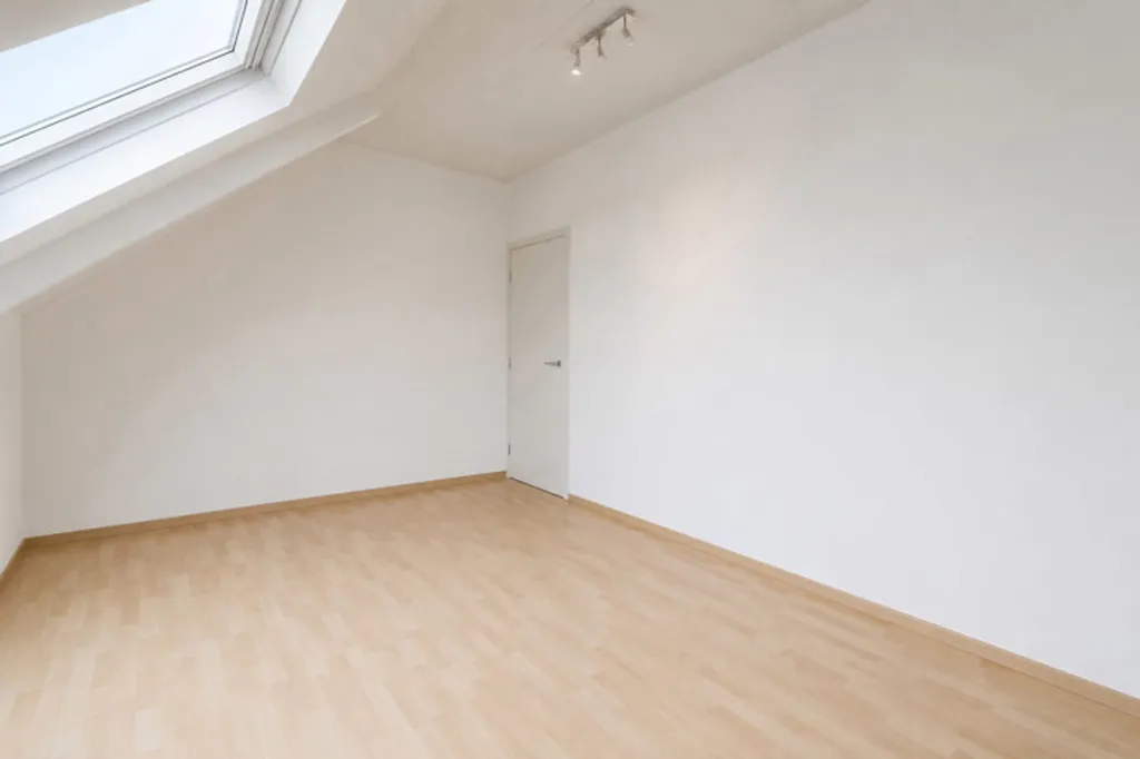 Toad - Spacious House on Corner Plot near Dutch Border