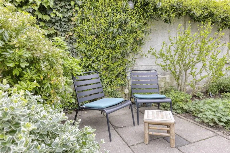 Giardino - Charming House with Garden in Loven-Besterd, Tilburg