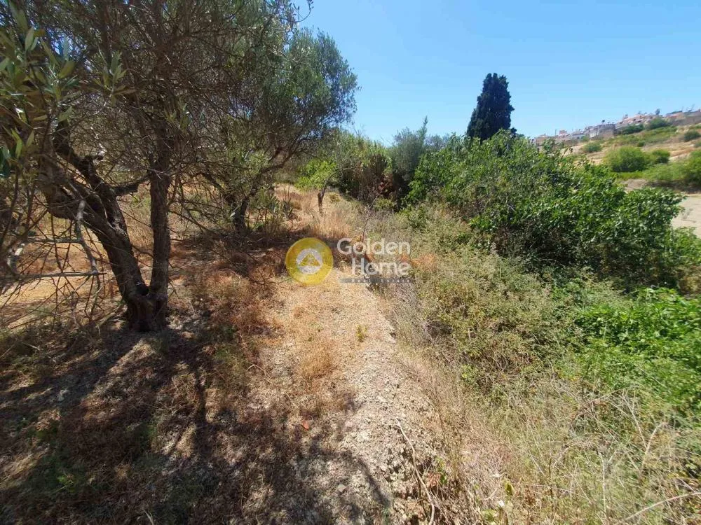 Jardin - Buildable Plot with Sea View in Episkopi