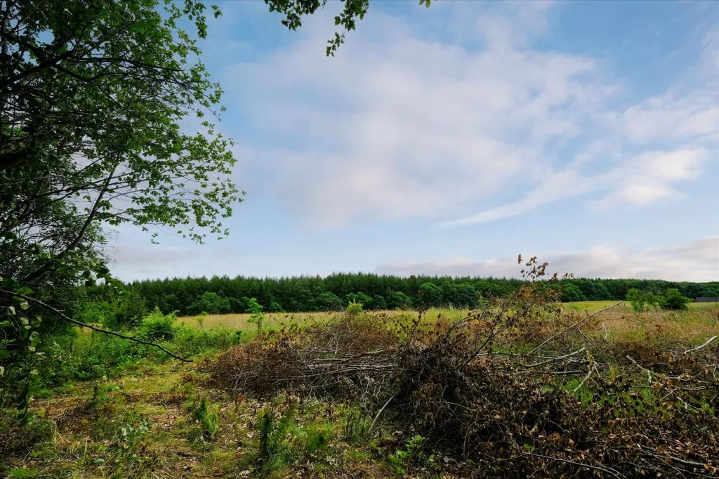 Giardino - Year-Round Plot with 5G Coverage in Skørping