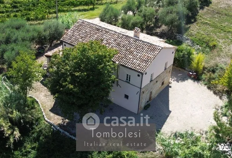 Vue aérienne - Restored Rustico with Vineyard in Cossignano