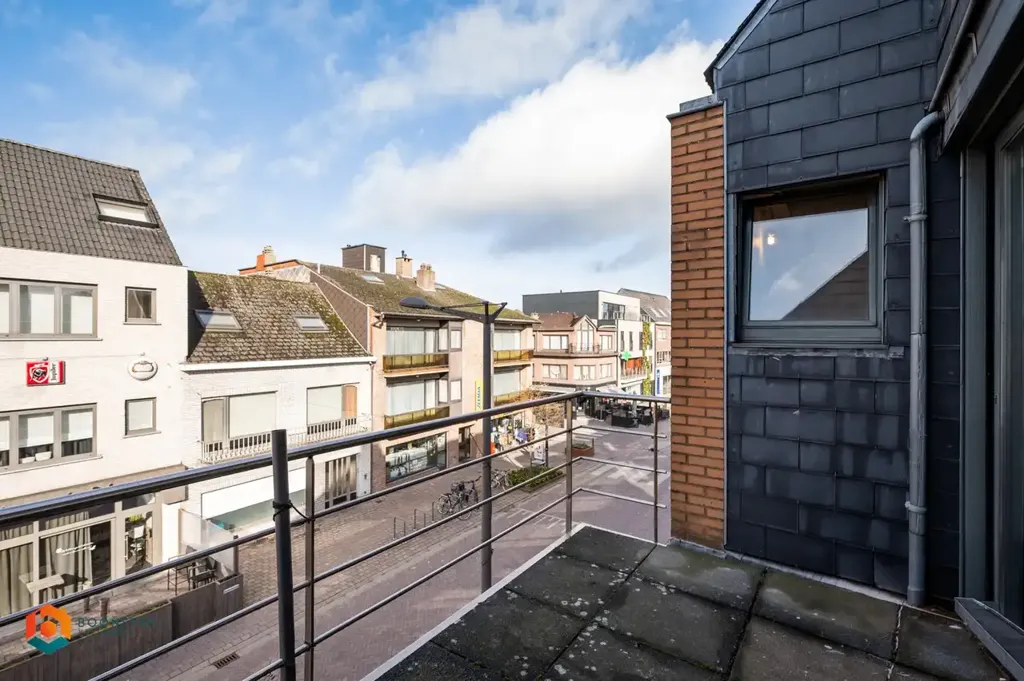 Rõdu - Mixed-Use Property with Duplex in Putte Centre