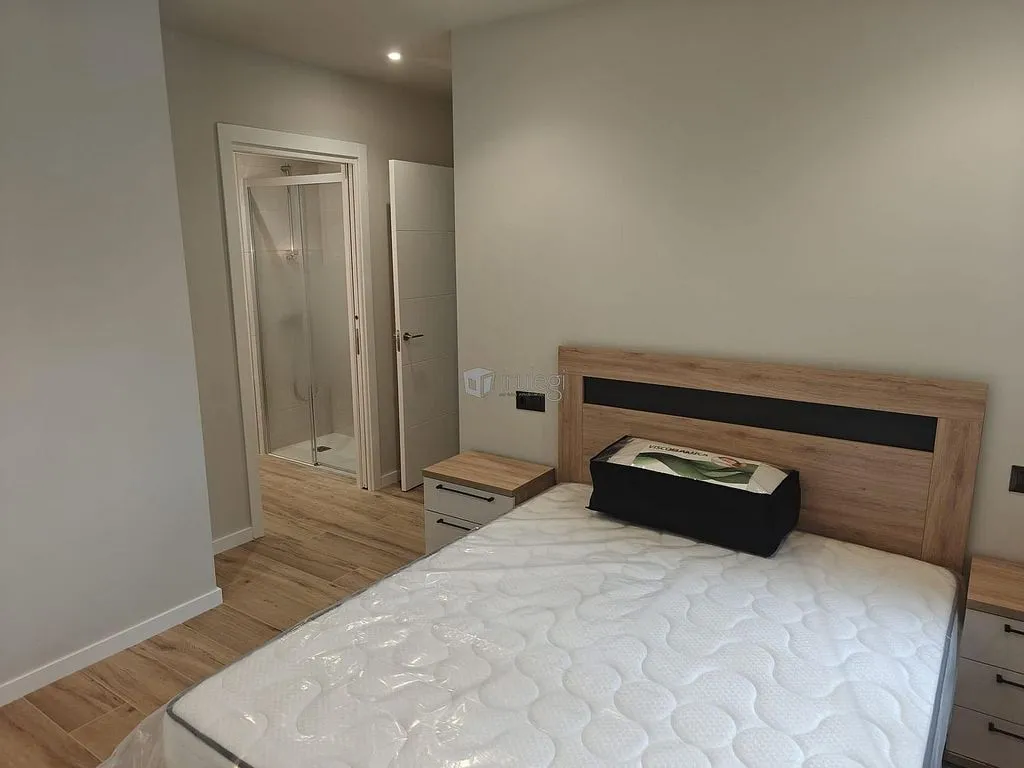Magamistoad - Apartment with Pool in Andoain