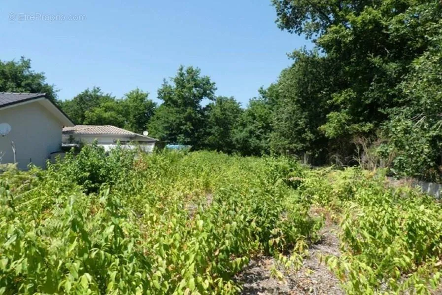 Jardin - Terrain Viabilisé à Audenge avec Jardin