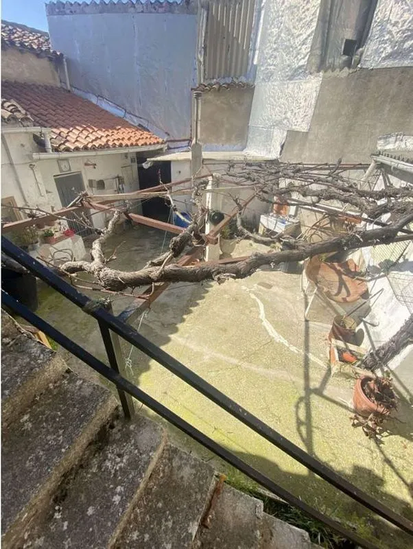 Garden - Chalet with Garden and Garage in Chinchón