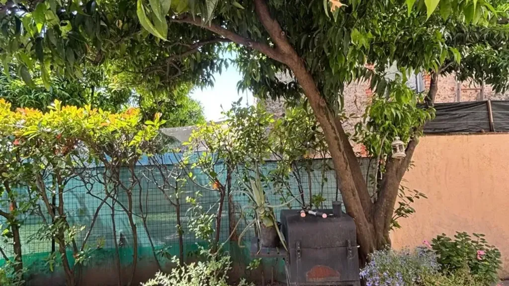 Jardin - Tuscan Terratetto with Private Courtyard in Camaiore