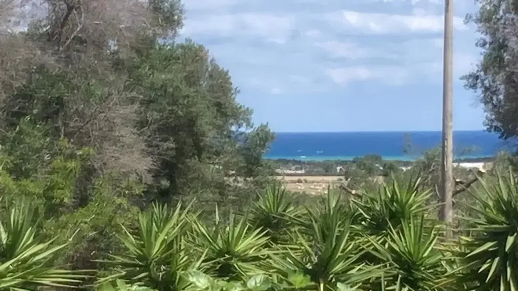 Jardin - Trullo with Sea View in Carovigno