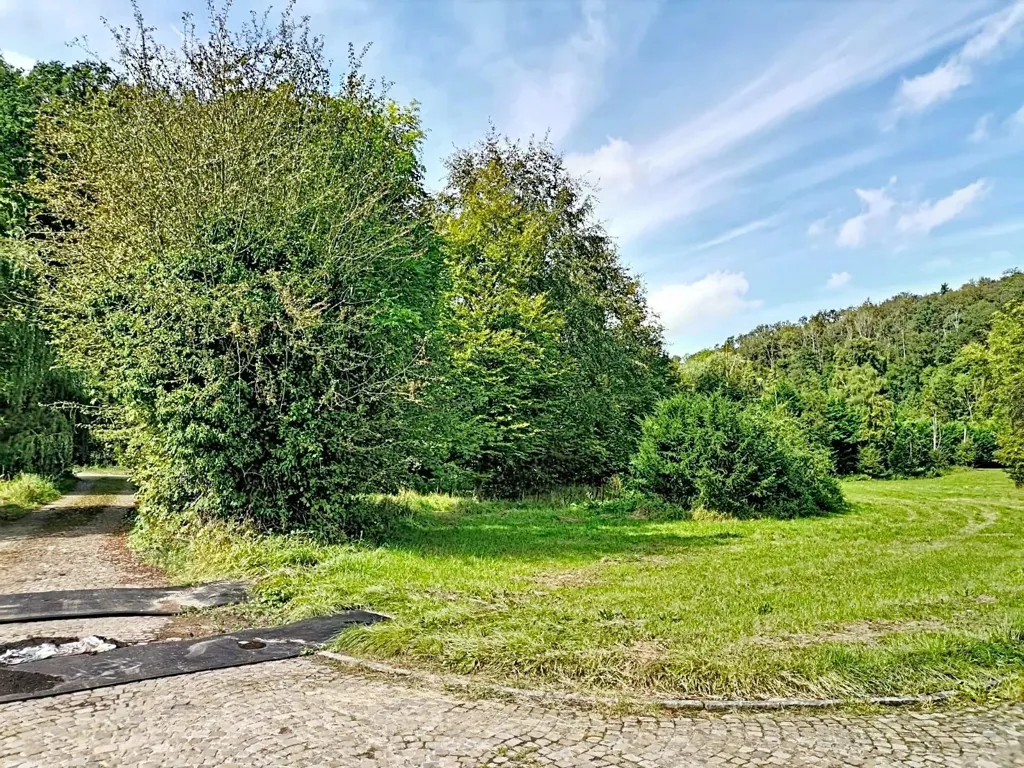 Jardin - Moulin Historique avec Machinerie à Huccorgne