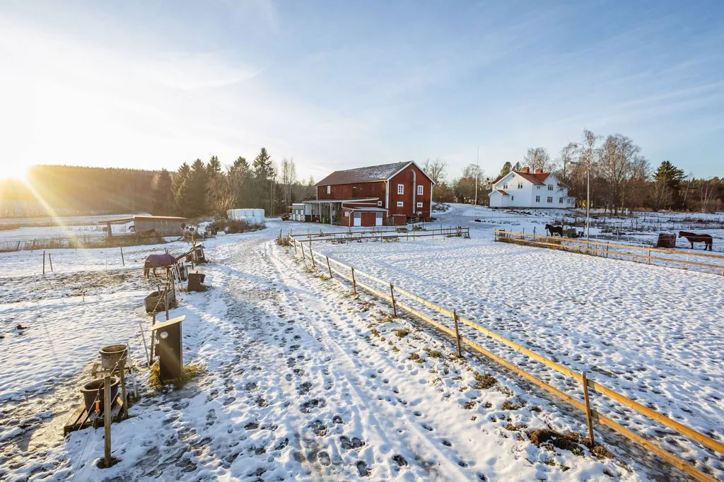 Garden - Well-Maintained Farmhouse with Stables in Västernorrland