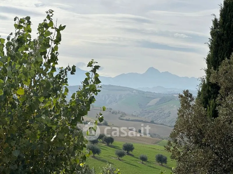 Jardin - Operational Farmhouse with Olive Grove in Atri