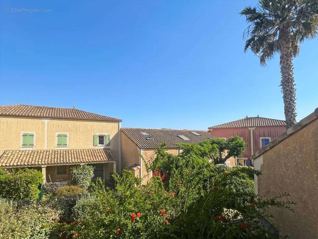Garden - House with Pools near Canal du Midi
