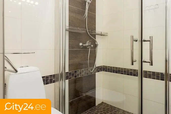 Vannitoad - Apartment with Mezzanine in Tartu