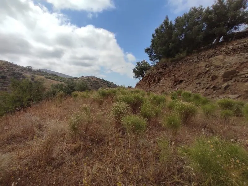 Jardin - Two Large Plots with Panoramic Views near Sayalonga