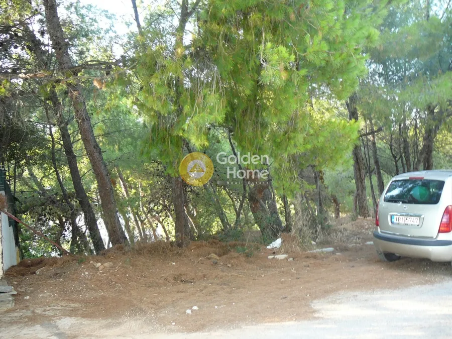 Välivaade - Buildable Plot with Forest View in Kallithea