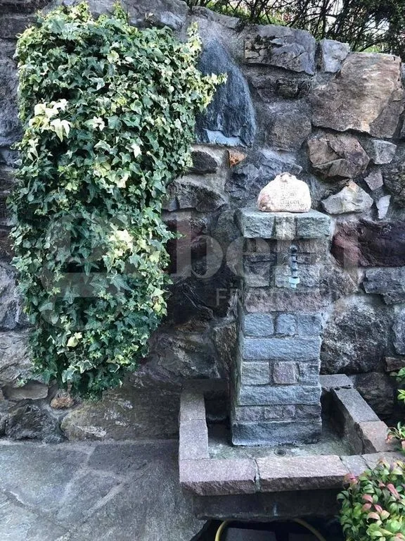 Giardino - Panoramic Villa with Garden in Asso (CO)