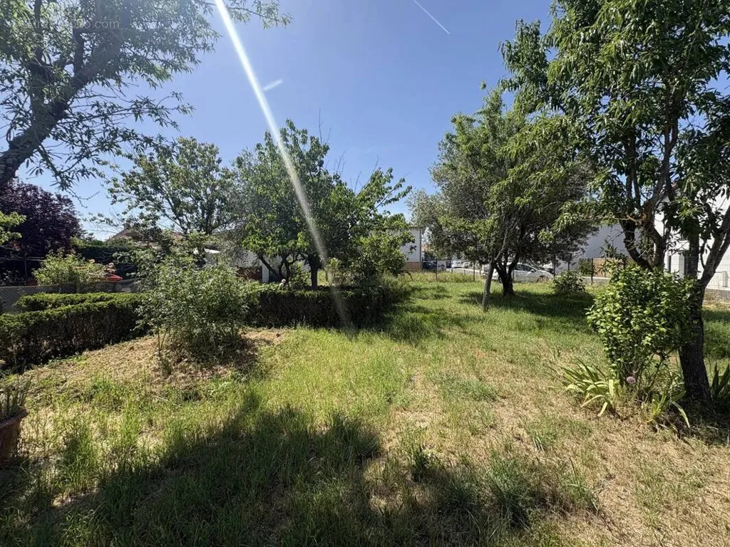 Jardin - Terrain viabilisé dans une impasse au calme à La Salvetat-Saint-Gilles