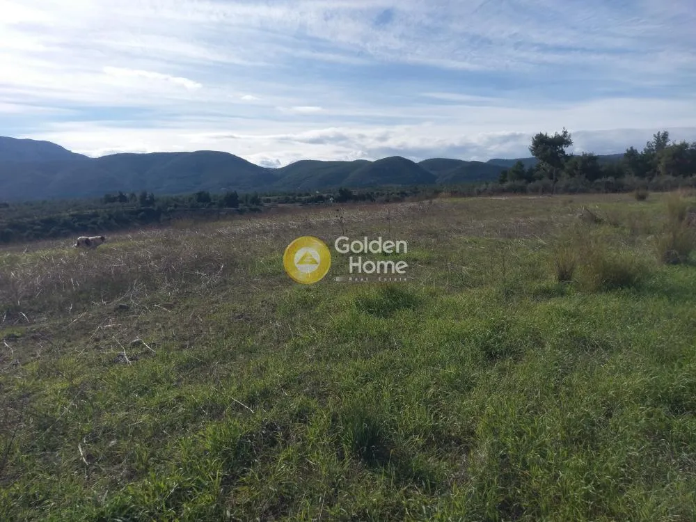 Aed - Commercial Plot with Unrestricted View in Eastern Attica