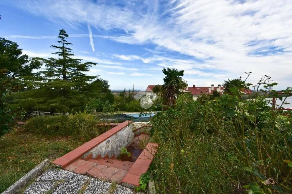 Jardin - Luxury Villa with Pool in Montescudo