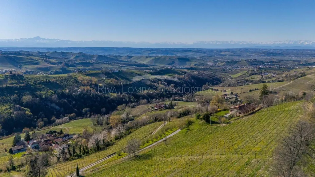 Aed - Casale with Vigneto in Mango, Langhe