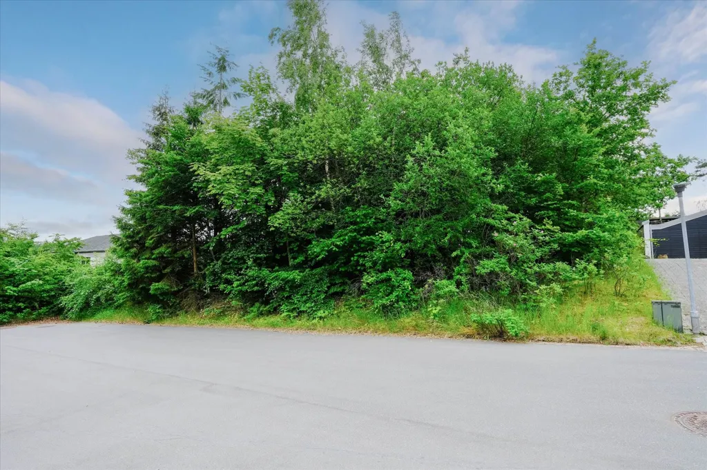 Giardino - Year-Round Plot with 5G Coverage in Skørping