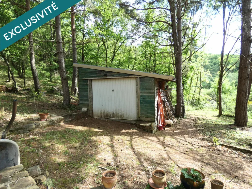 Jardin - Maison Ossature Bois sur Terrain Arboré à Rieussec