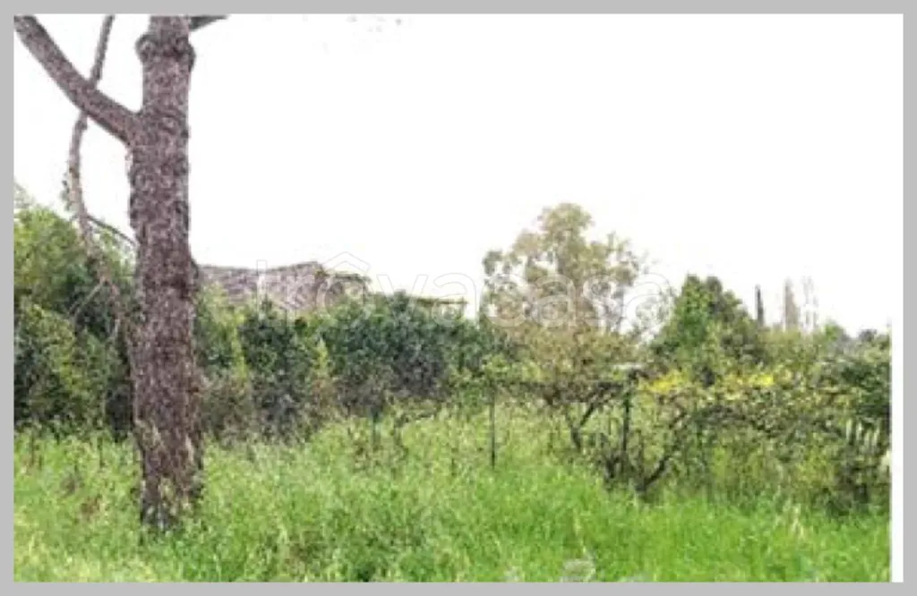 Aed - Auction Villa with Pool on Strada Polledrare, Latina