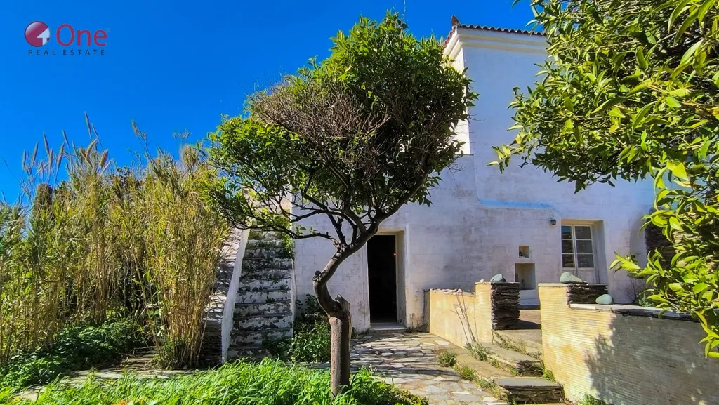 Esterno - 19th Century Stone House with Terrace in Mesaria