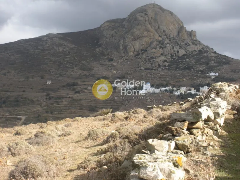 Agricultural Plot with Mountain View in Thinos