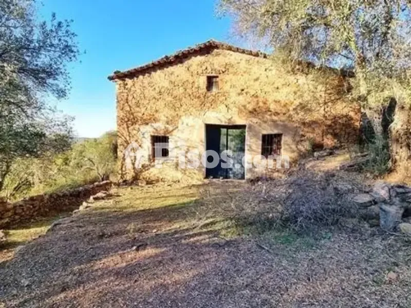 Välivaade - Rustic House with Olive Grove in La Nava